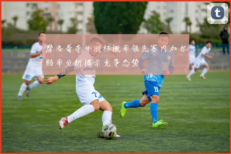 摩洛哥夺非洲杯概率领先塞内加尔赔率分析揭示竞争态势