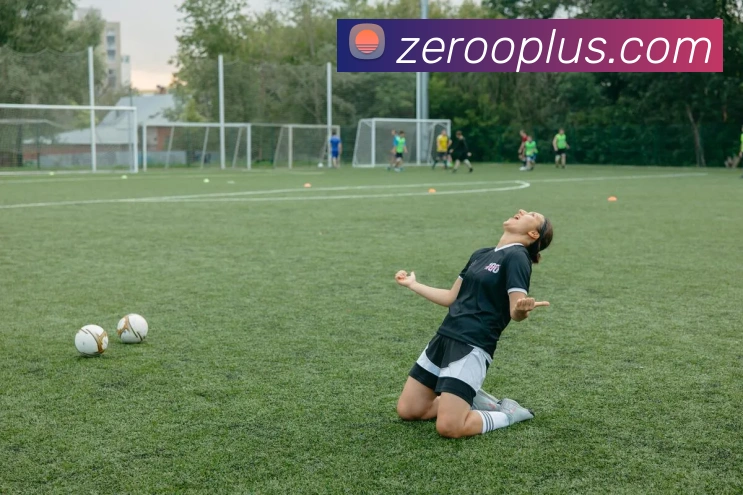 多媒体互动体验