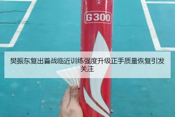 樊振东复出首战临近训练强度升级正手质量恢复引发关注